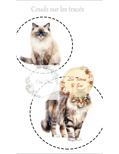 Mes 1ères coutures adulte à télécharger