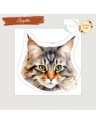 Lingettes Chat 1